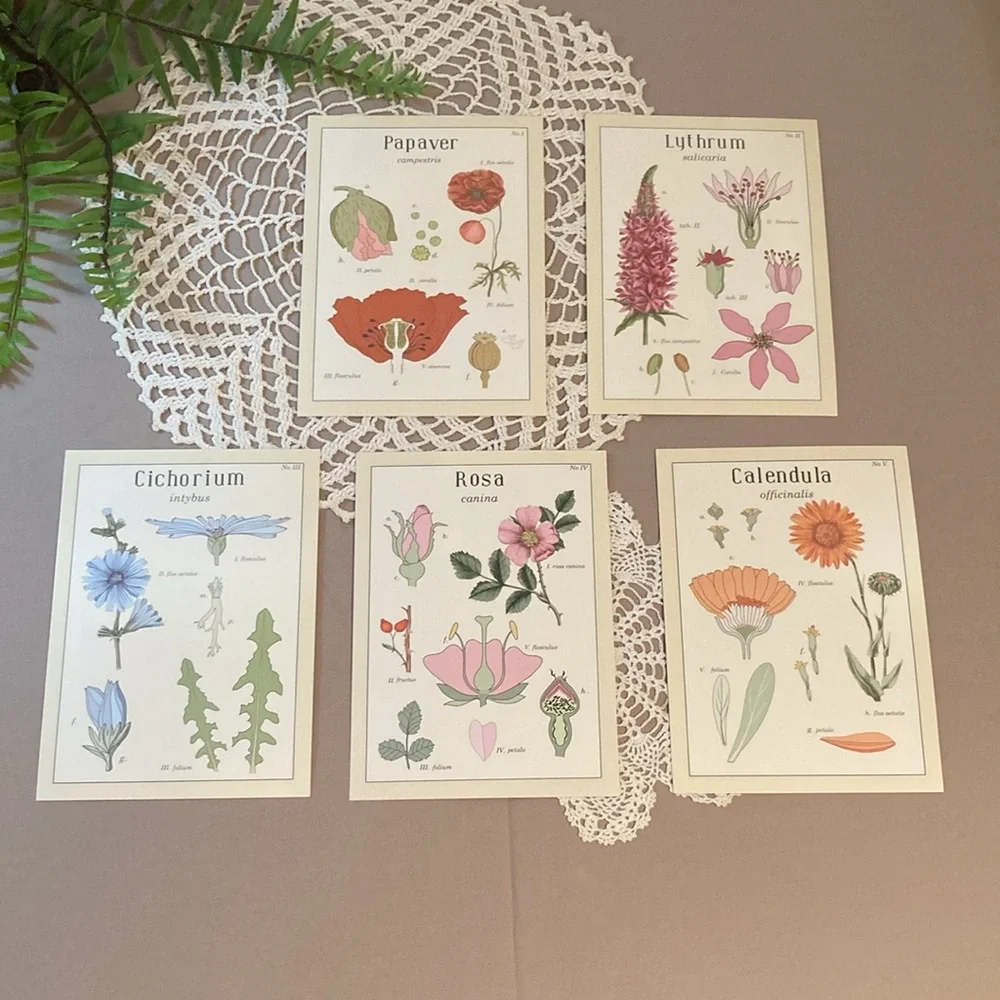 New IKEA Vintage Flowers Botanical Prints Set By Maria Mendez